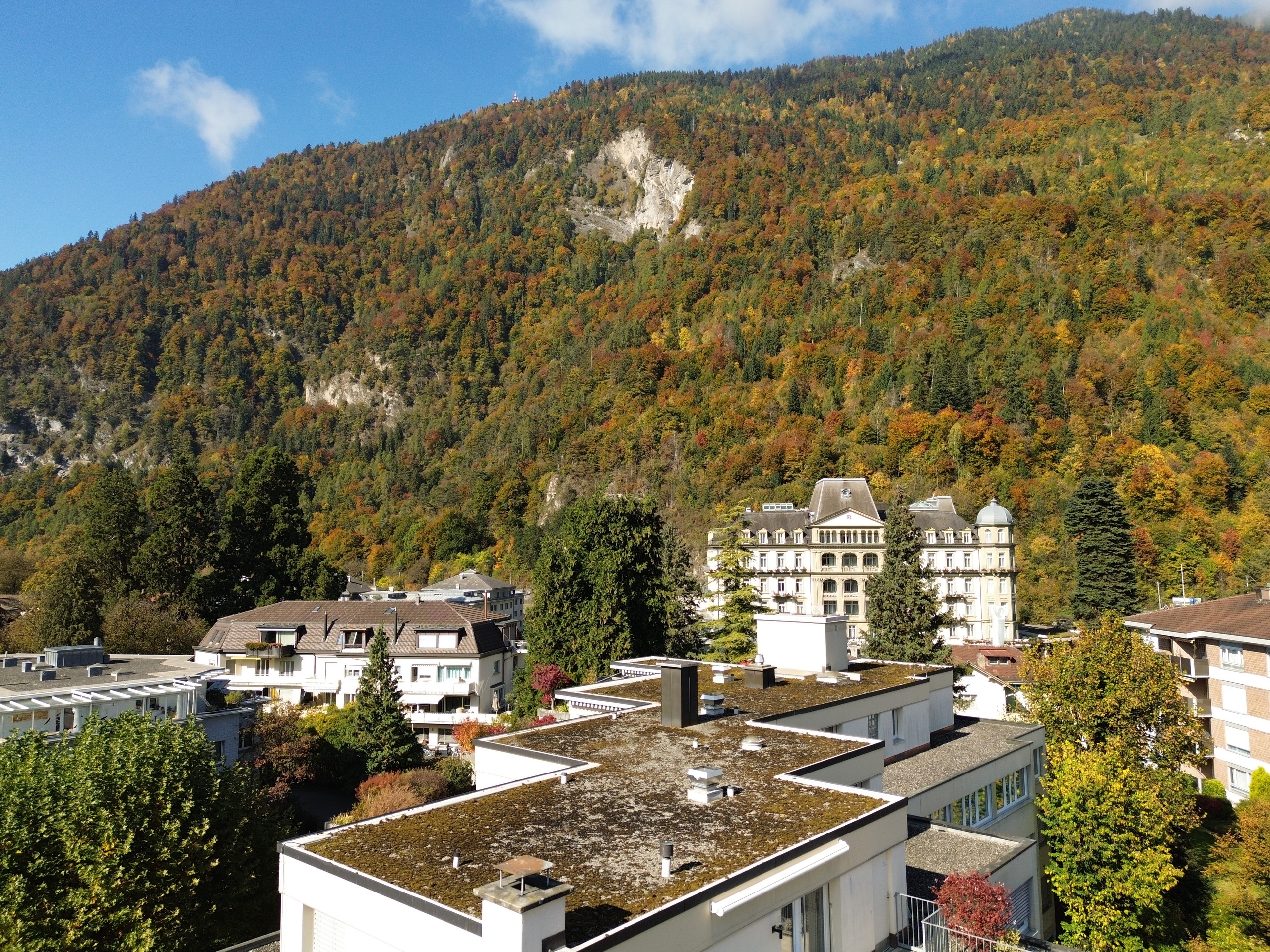 Alpenhang mit Wohnbebauung