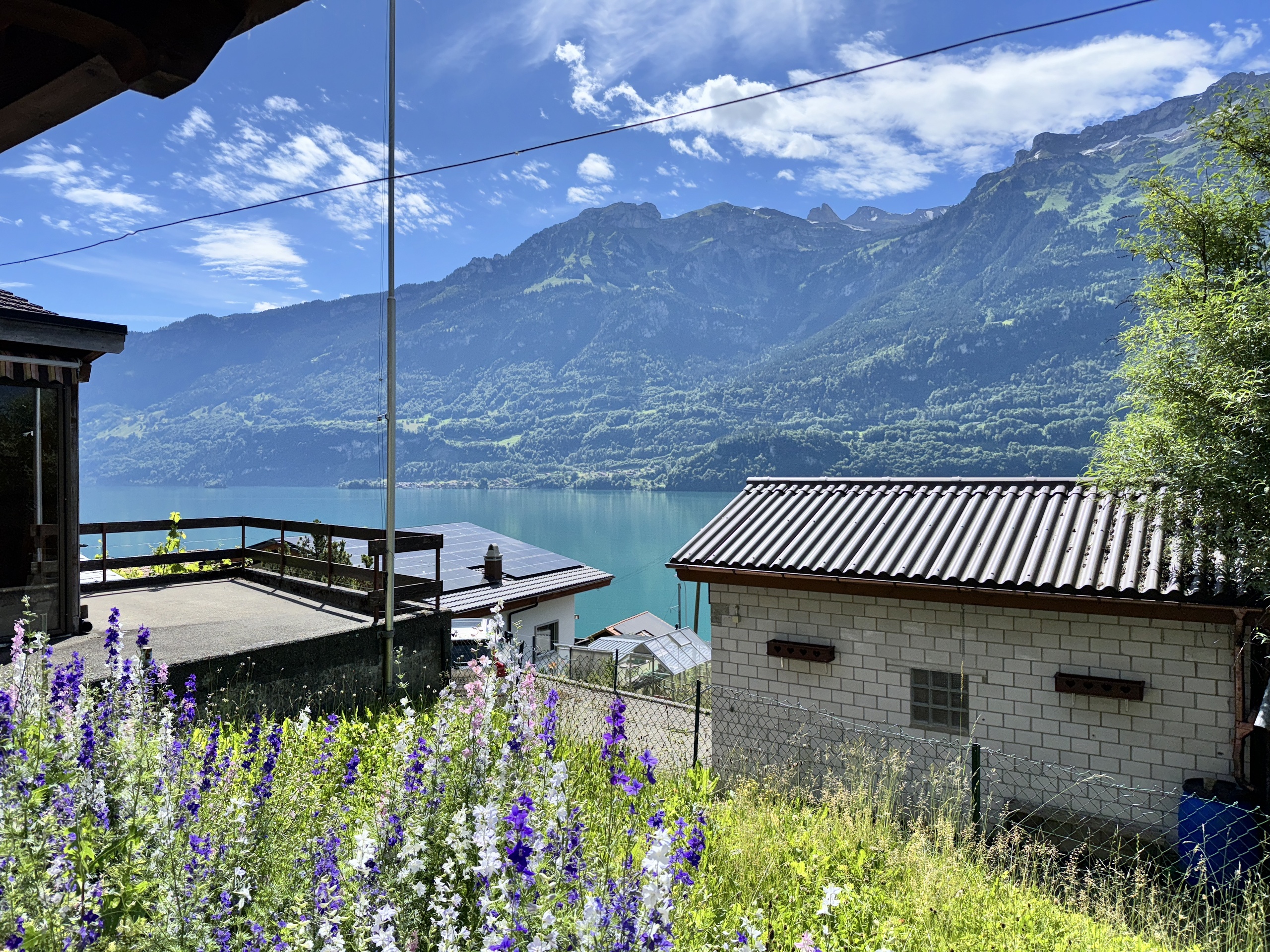 Alpenblick über See und Häuser