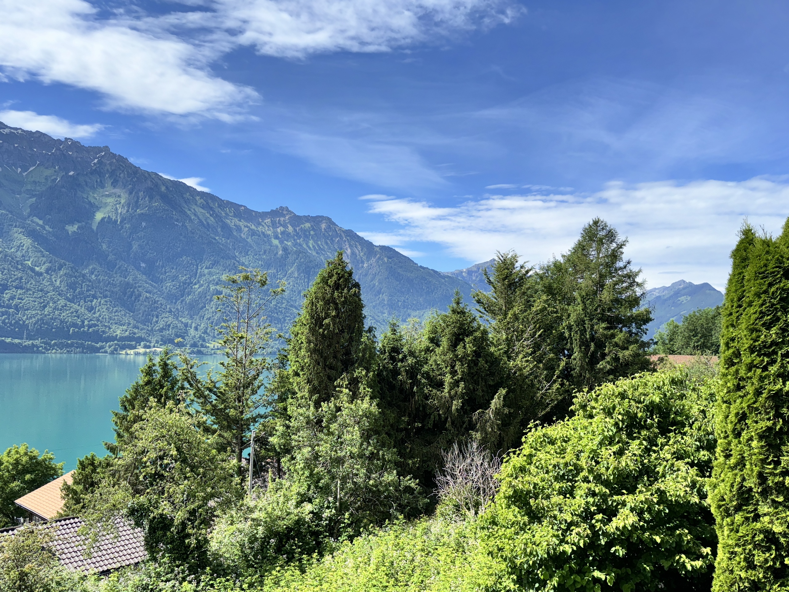 Seeblick mit Bergen und üppigem Grün