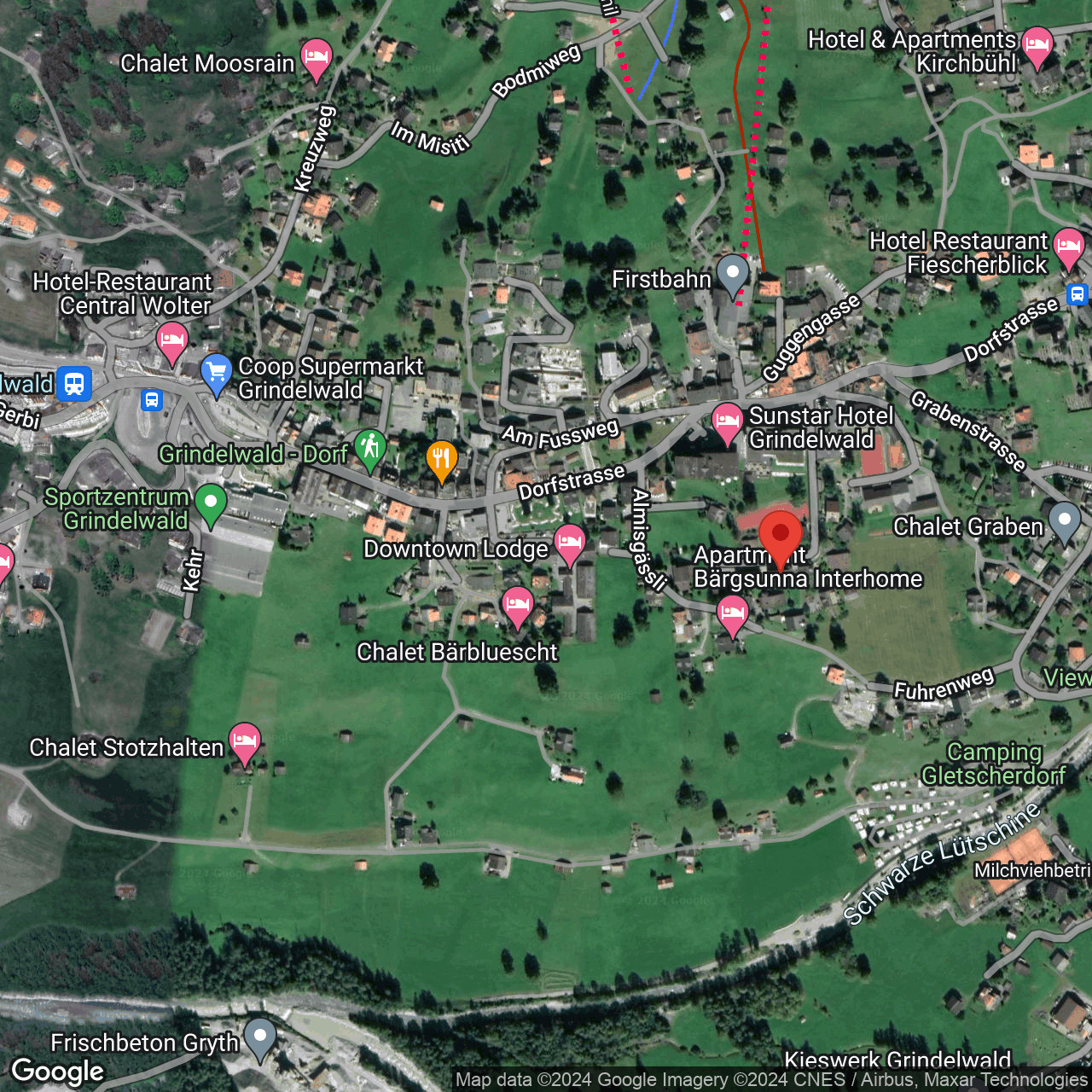 Satellitenkarte von Grindelwald
