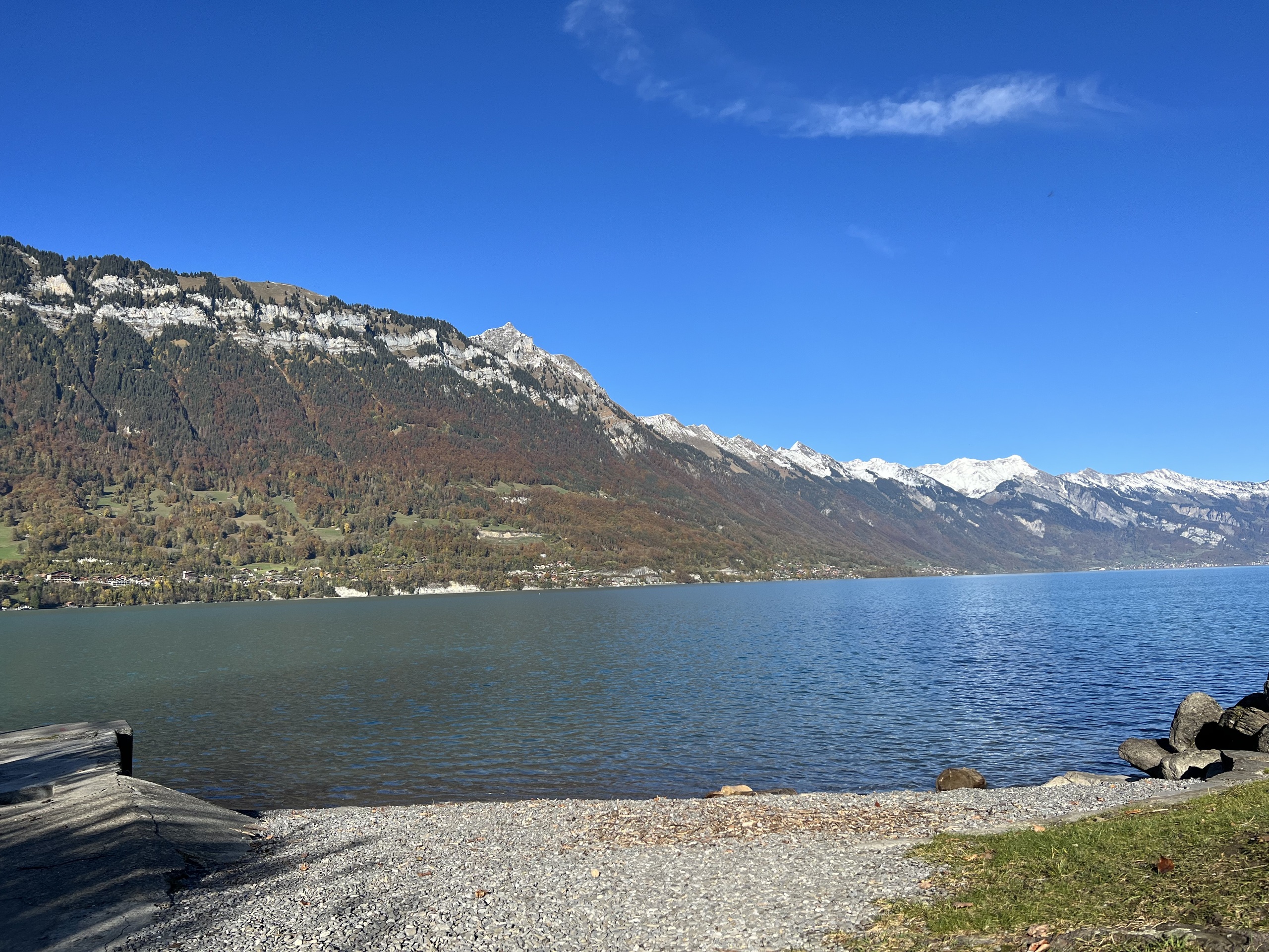 Seeblick mit Alpenpanorama