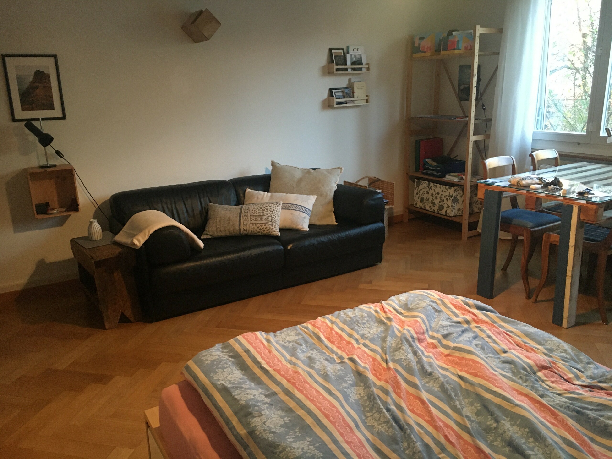 Gemütliches Wohnzimmer mit Schlafbereich