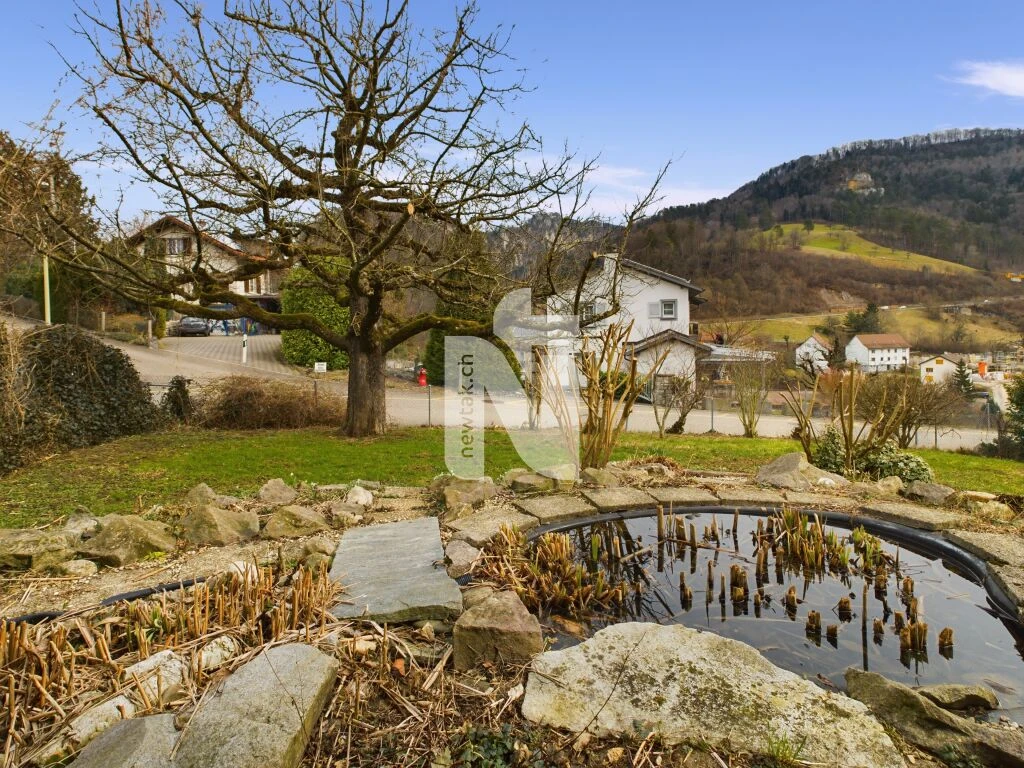 Garten mit Teich und Bergblick