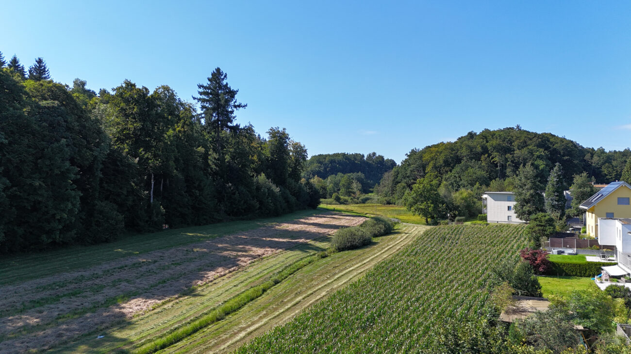Landschaft mit Feldern und Wohnhäusern