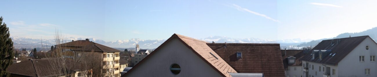 Dachlandschaft mit Bergpanorama