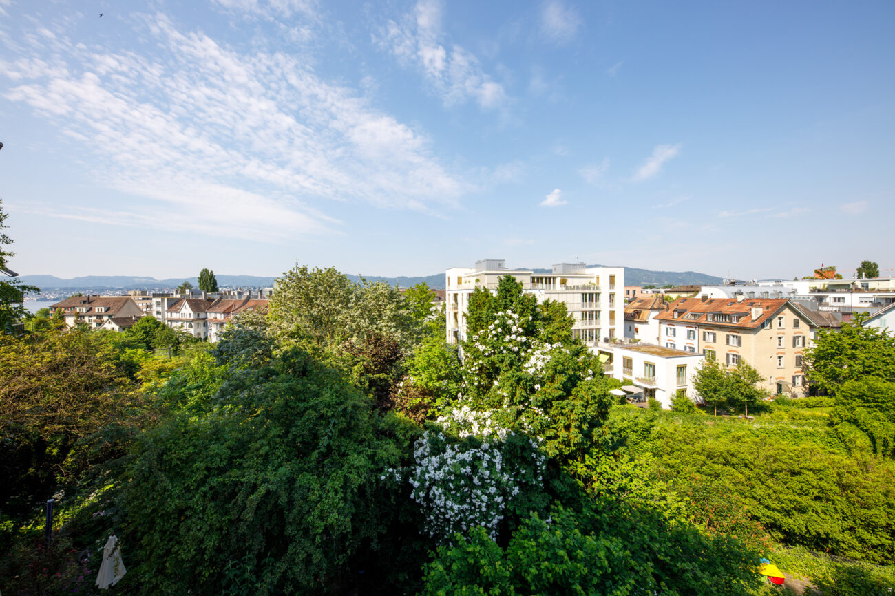 Stadtblick über grüne Dächer