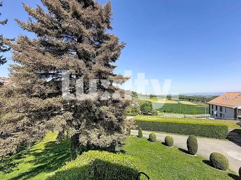 Landschafts- und Gartenblick mit Baum