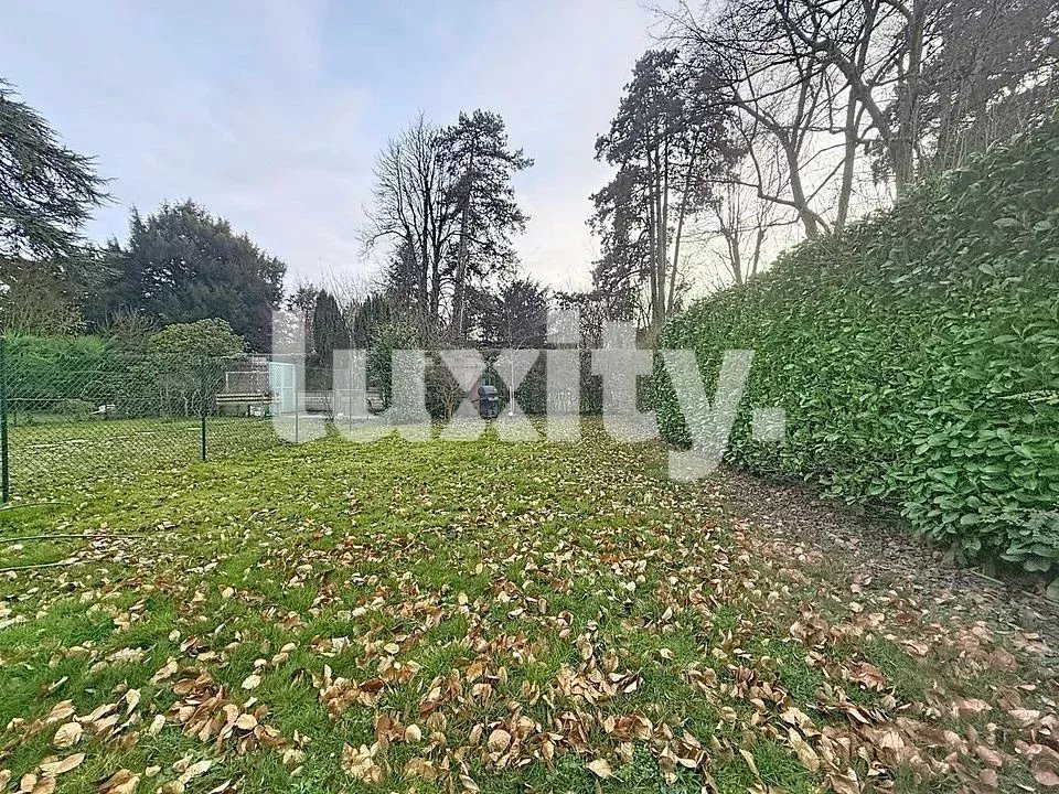 Garten mit Rasen und Hecken