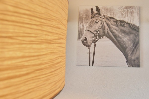 Wandbild mit Pferd neben Lampenschirm