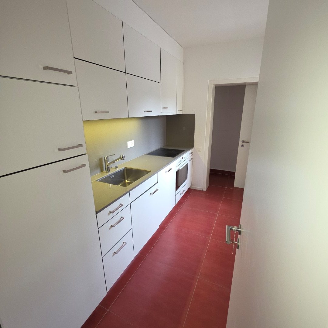 Schmale moderne Küche mit langem Einbauzeilen-Layout