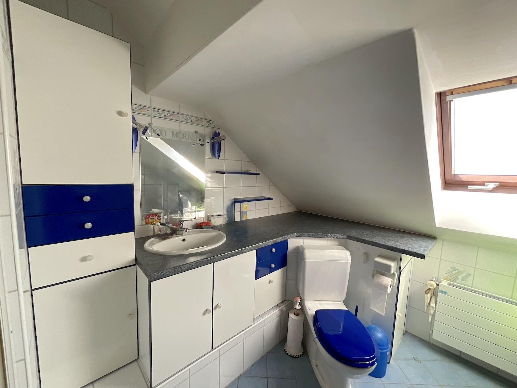 Kleines Dachgeschossbad mit WC und Waschplatz