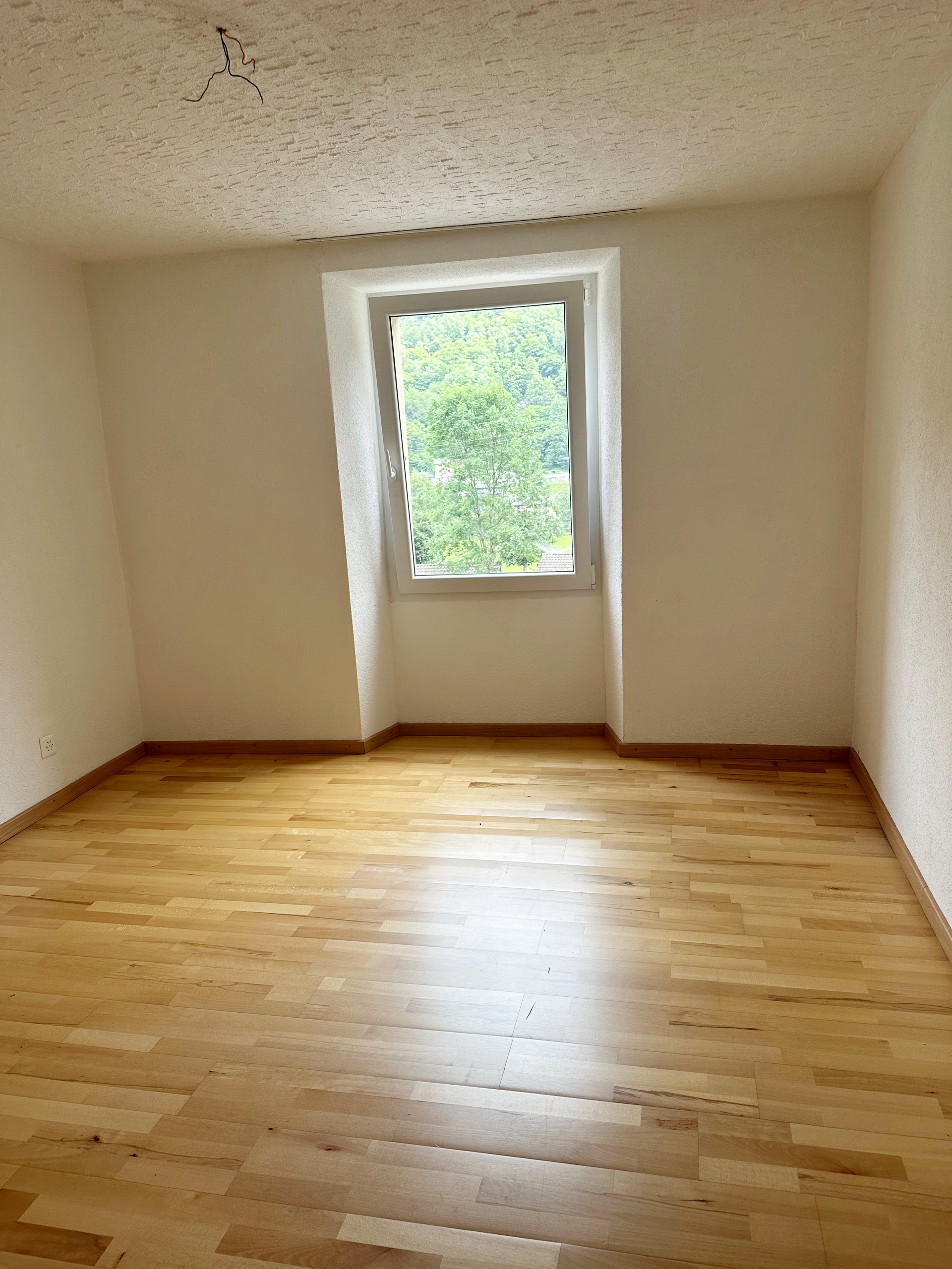 Helles leeres Zimmer mit Holzfußboden und Fensterblick ins Grüne