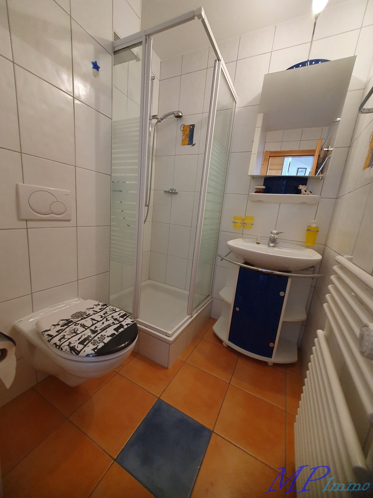 Kleines Badezimmer mit Dusche und WC