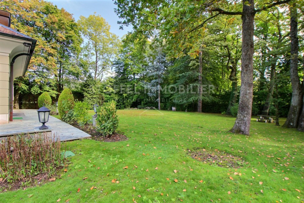 Großer Garten mit Rasen und altem Baumbestand