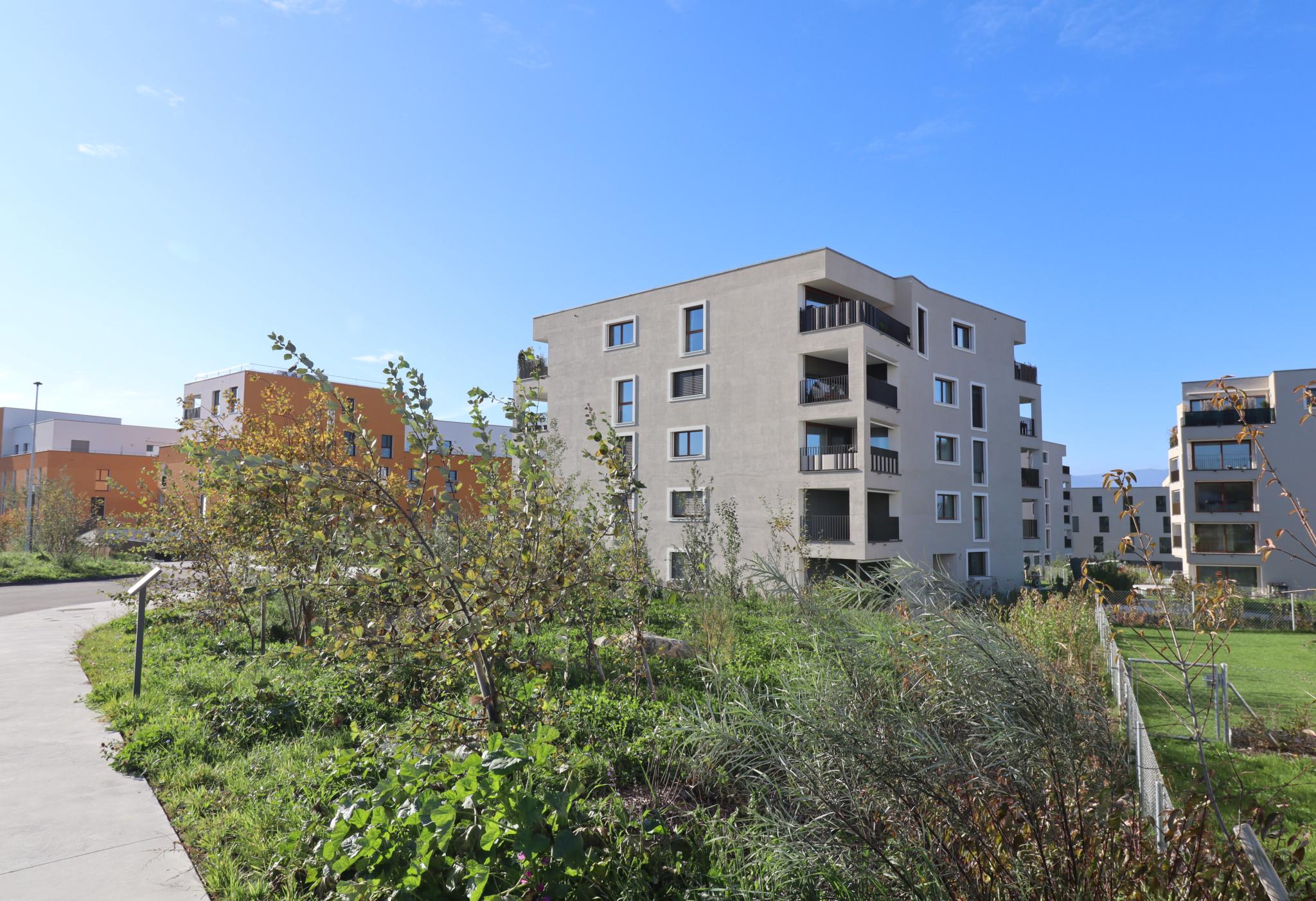 Moderne Wohnanlage mit Grünfläche