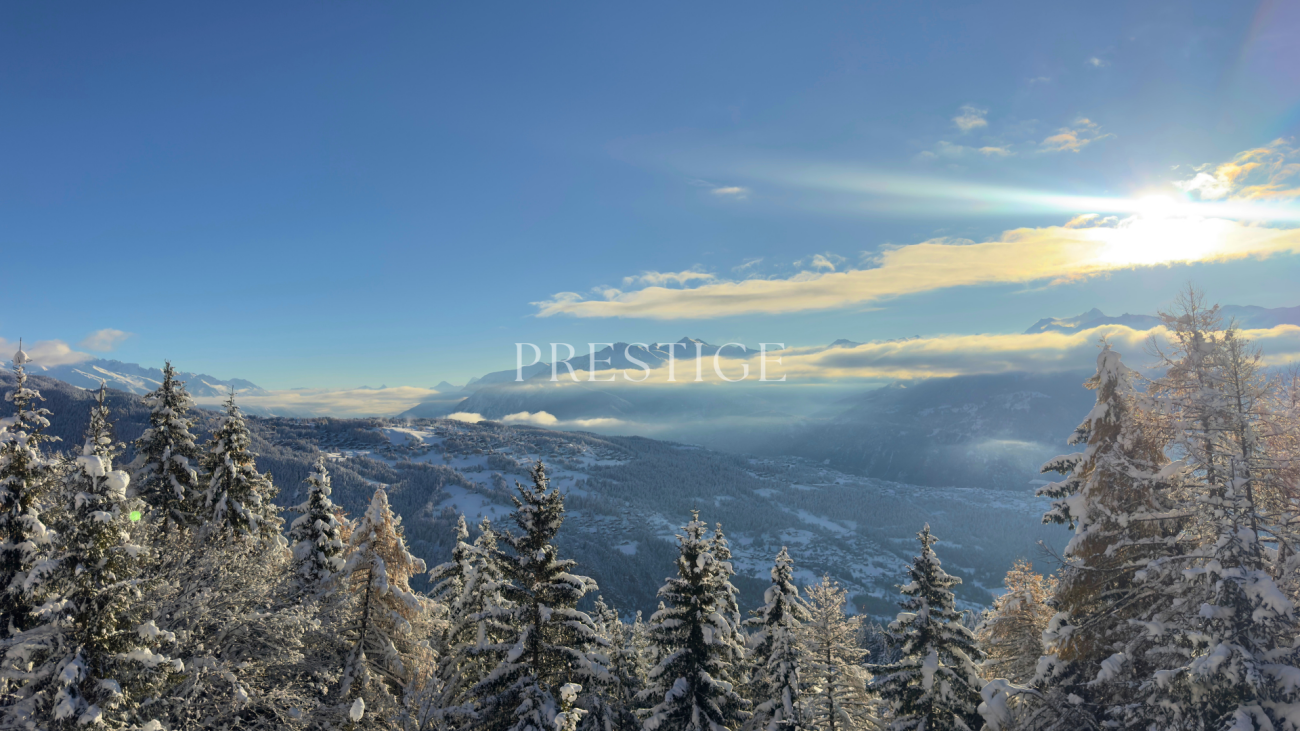 Winterpanorama mit Bergblick