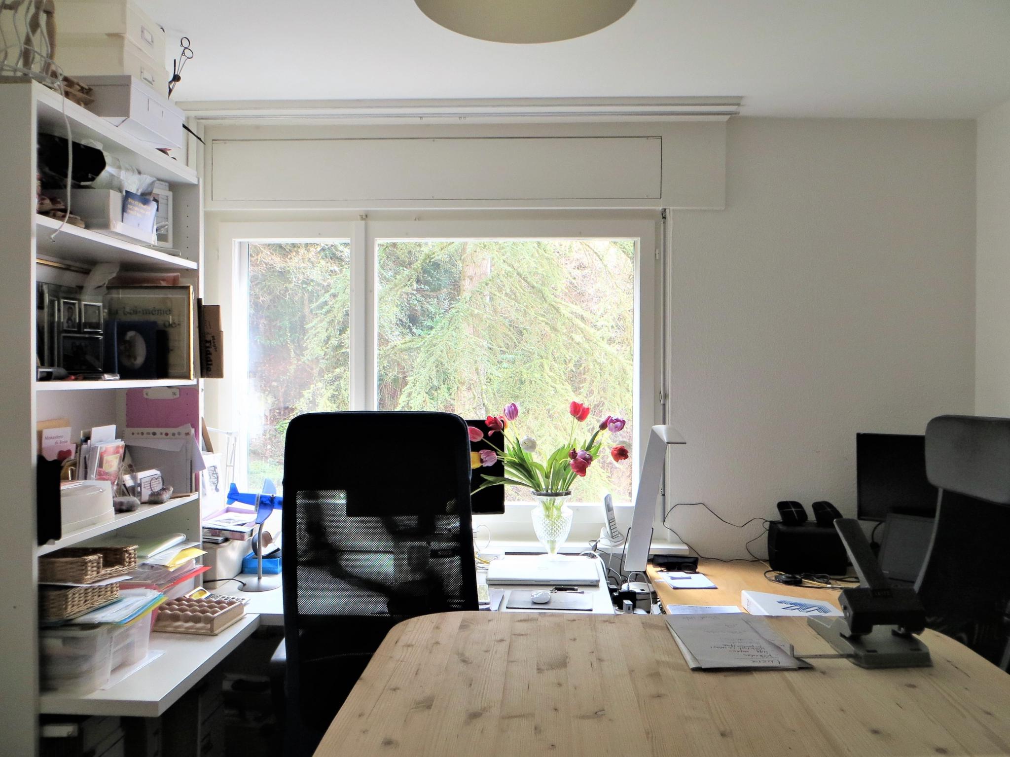 Arbeitszimmer mit Schreibtisch und Regal