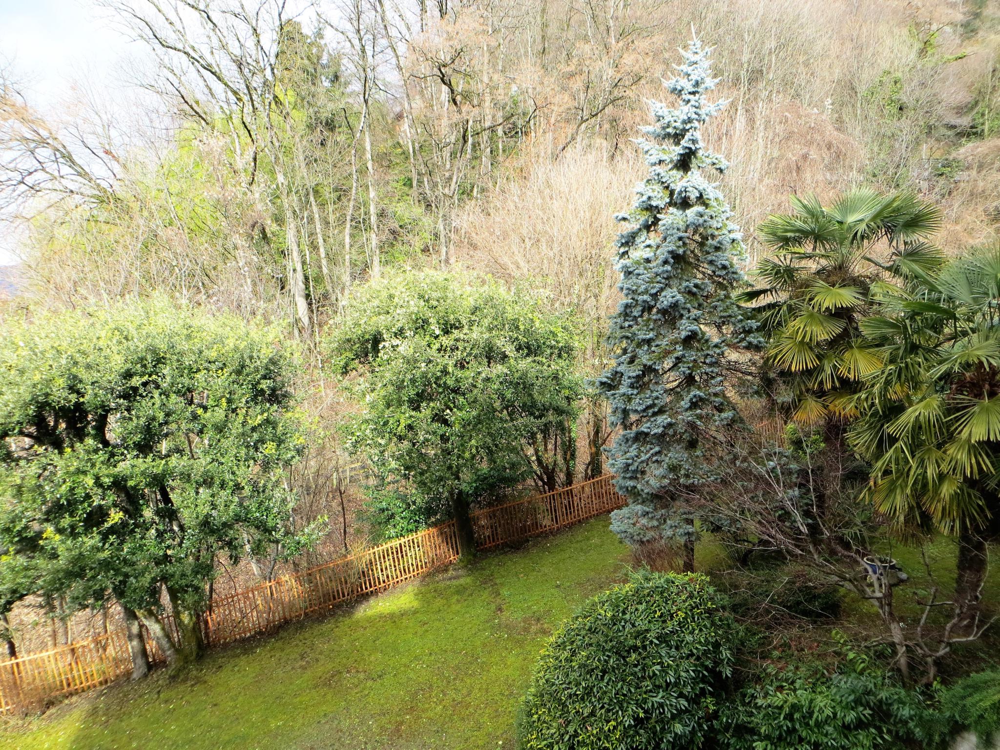 Gartenblick mit dichter Bepflanzung