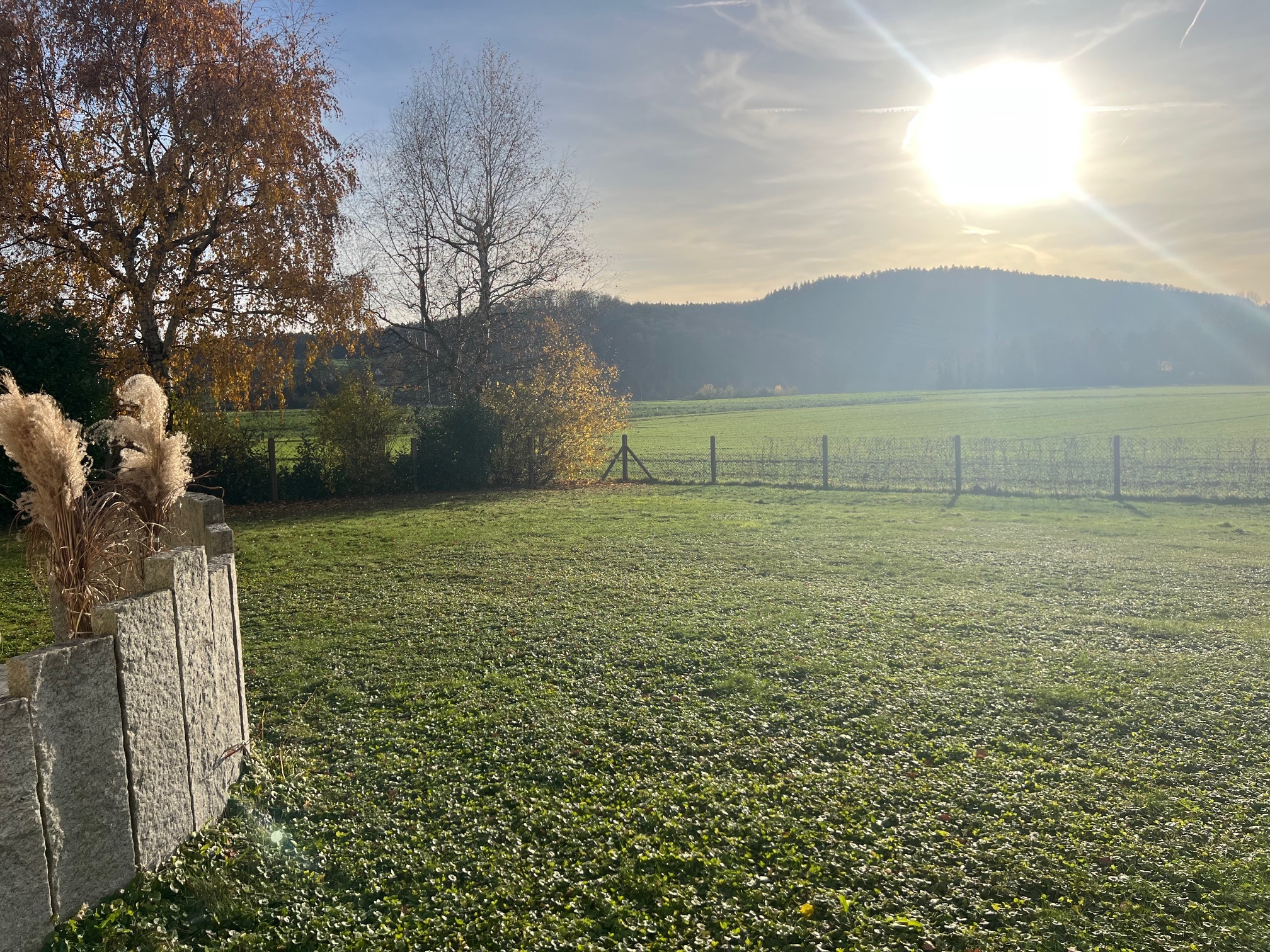 Ländlicher Garten mit Feldblick