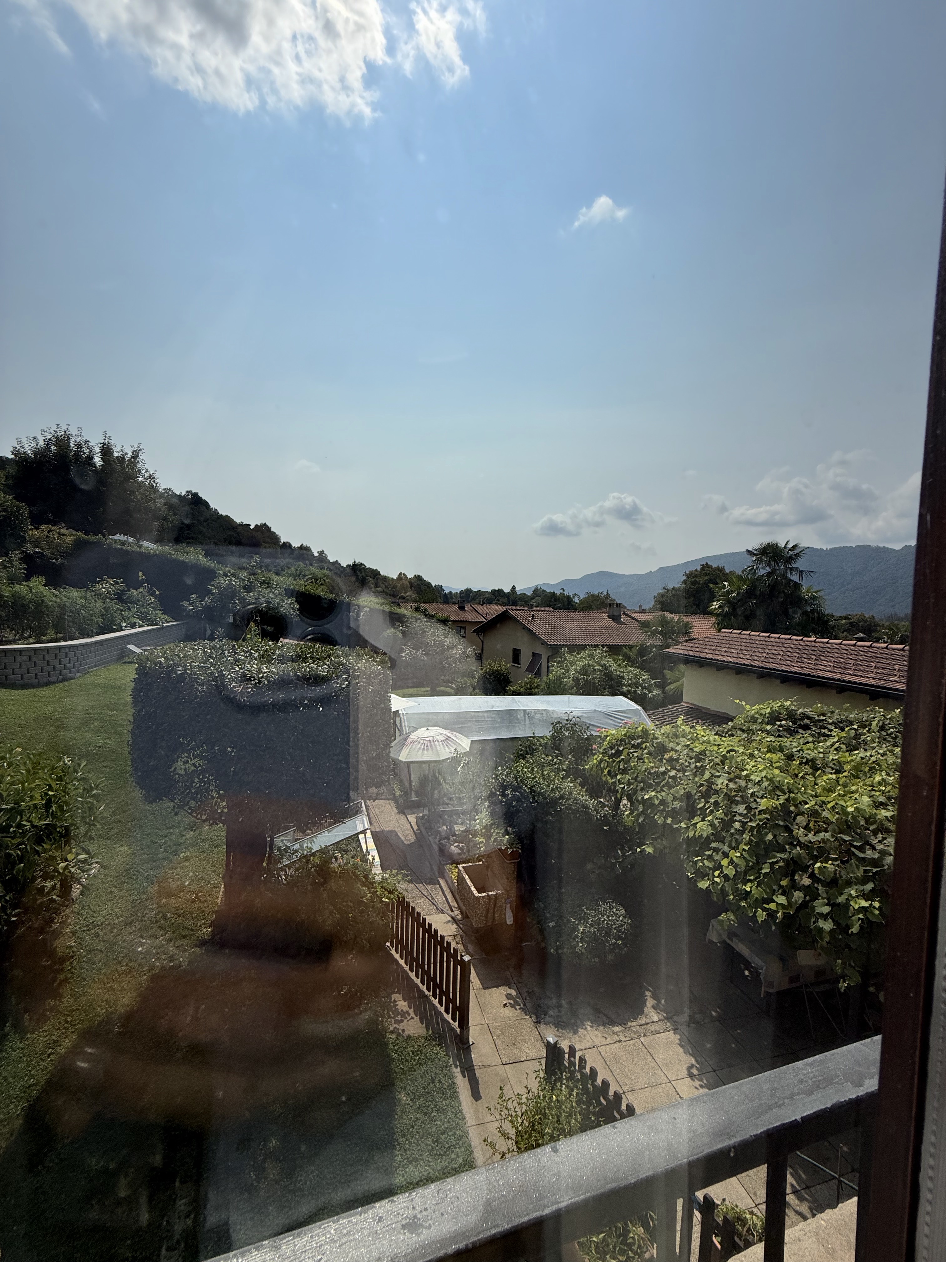 Blick in einen grünen Garten mit Bergen im Hintergrund