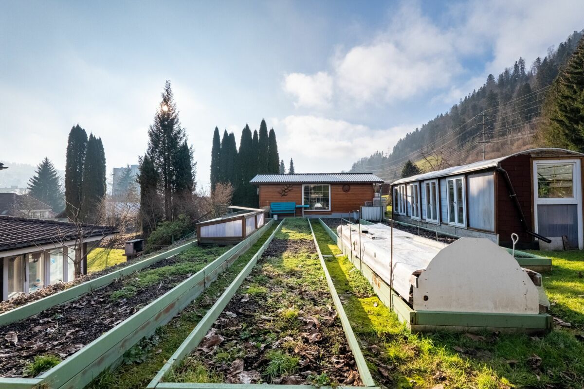 Gartenansicht mit Nebengebäuden und Hochbeeten