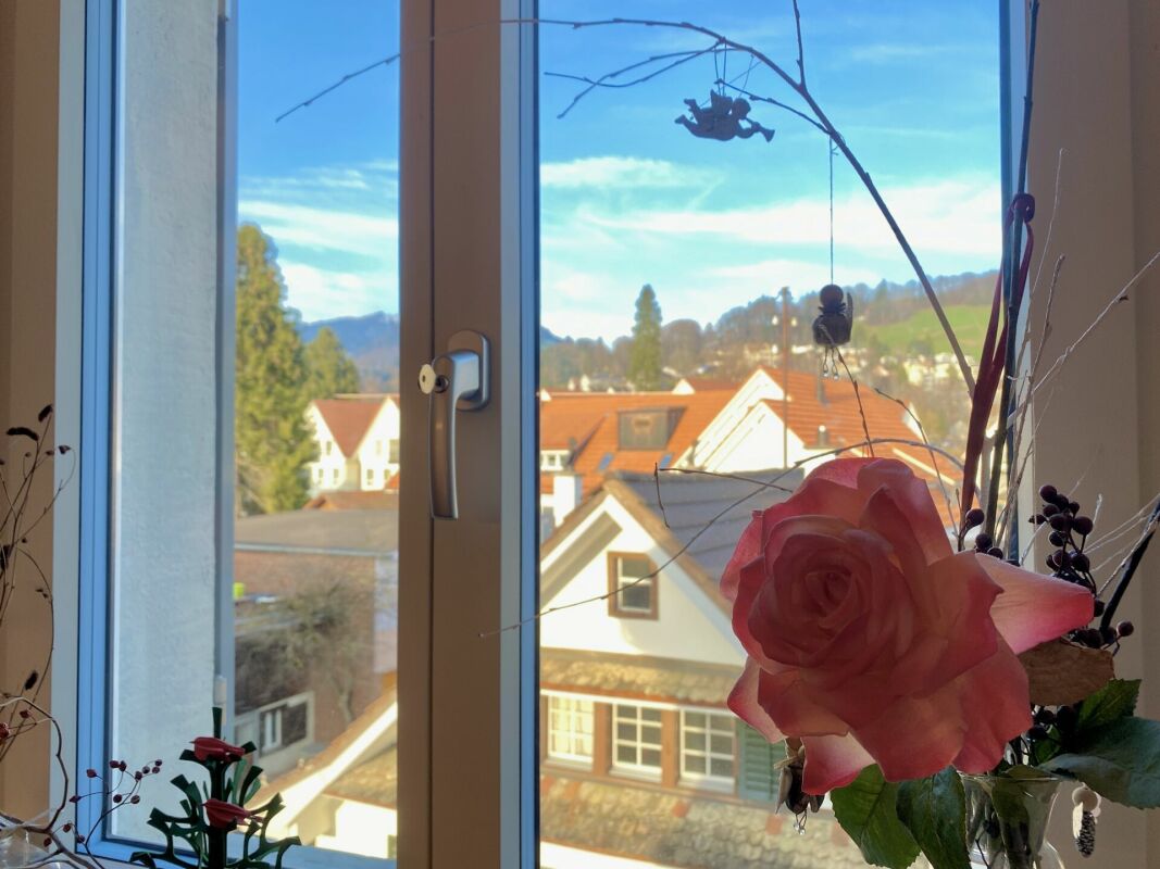 Fensterblick auf Wohnhäuser und Berge