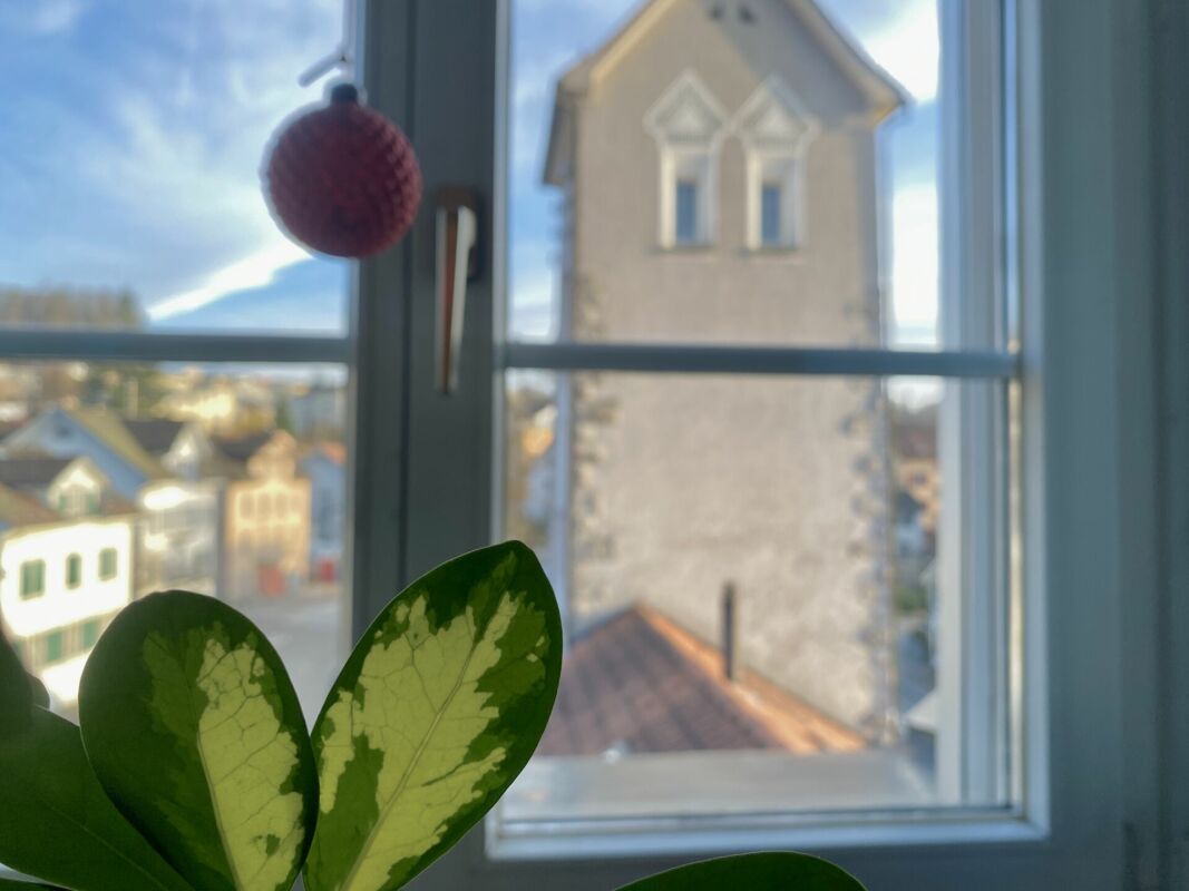 Blick aus einem Fenster mit Pflanzen im Vordergrund
