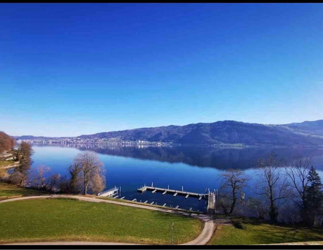 Seeblick mit Steg und Uferwiese