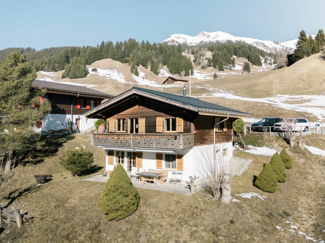 Alpenhaus mit Bergblick