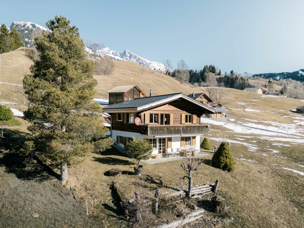Alpenchalet mit Bergblick