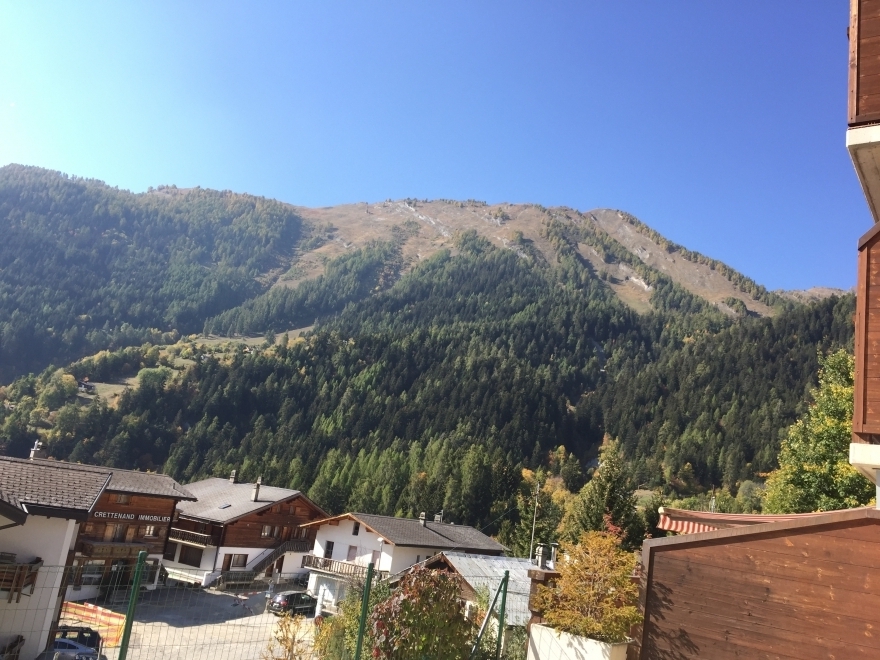 Bergblick über Häuser im Tal