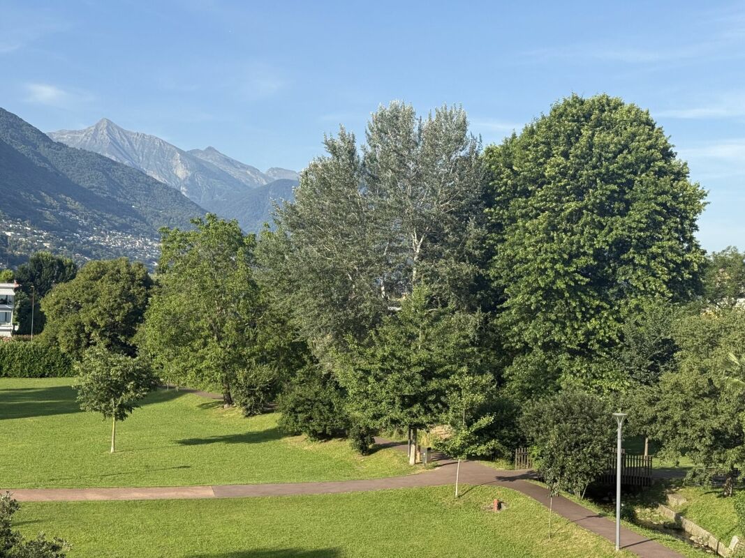 Park mit Bergblick