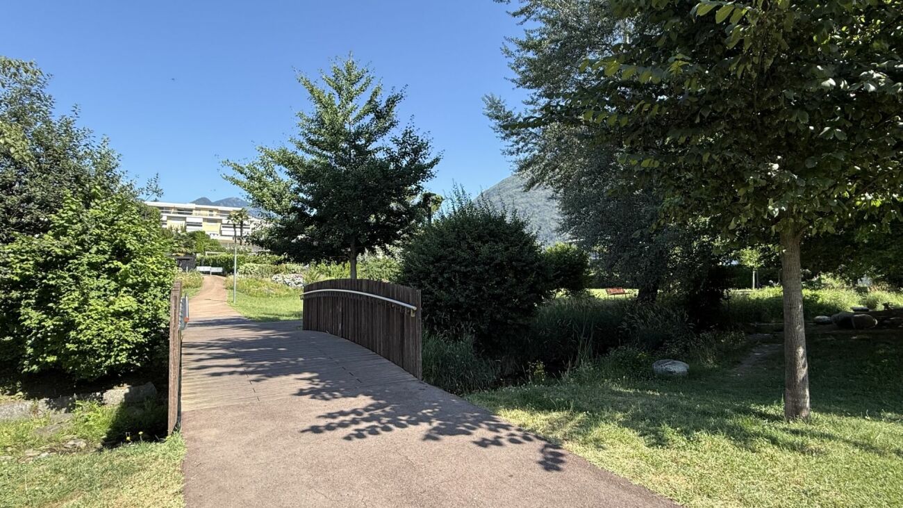 Parkweg über kleine Brücke