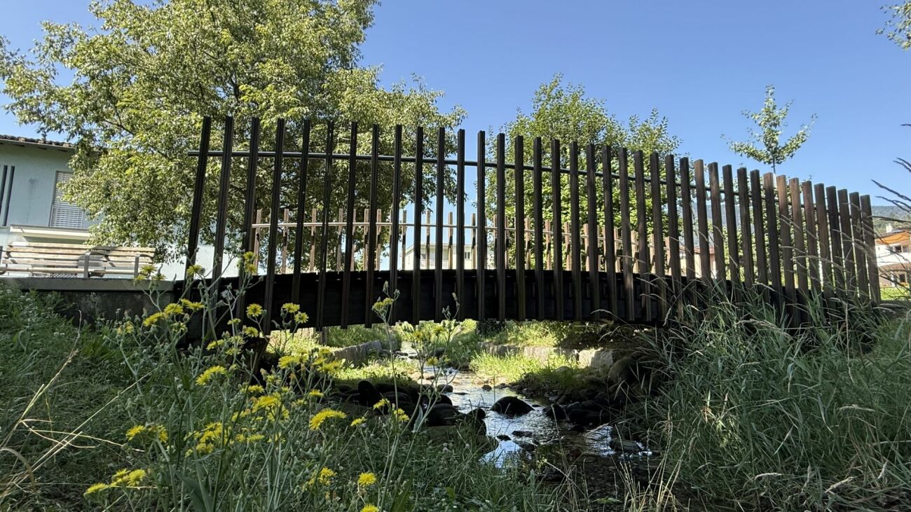 Außenansicht einer Brücke im Grünen