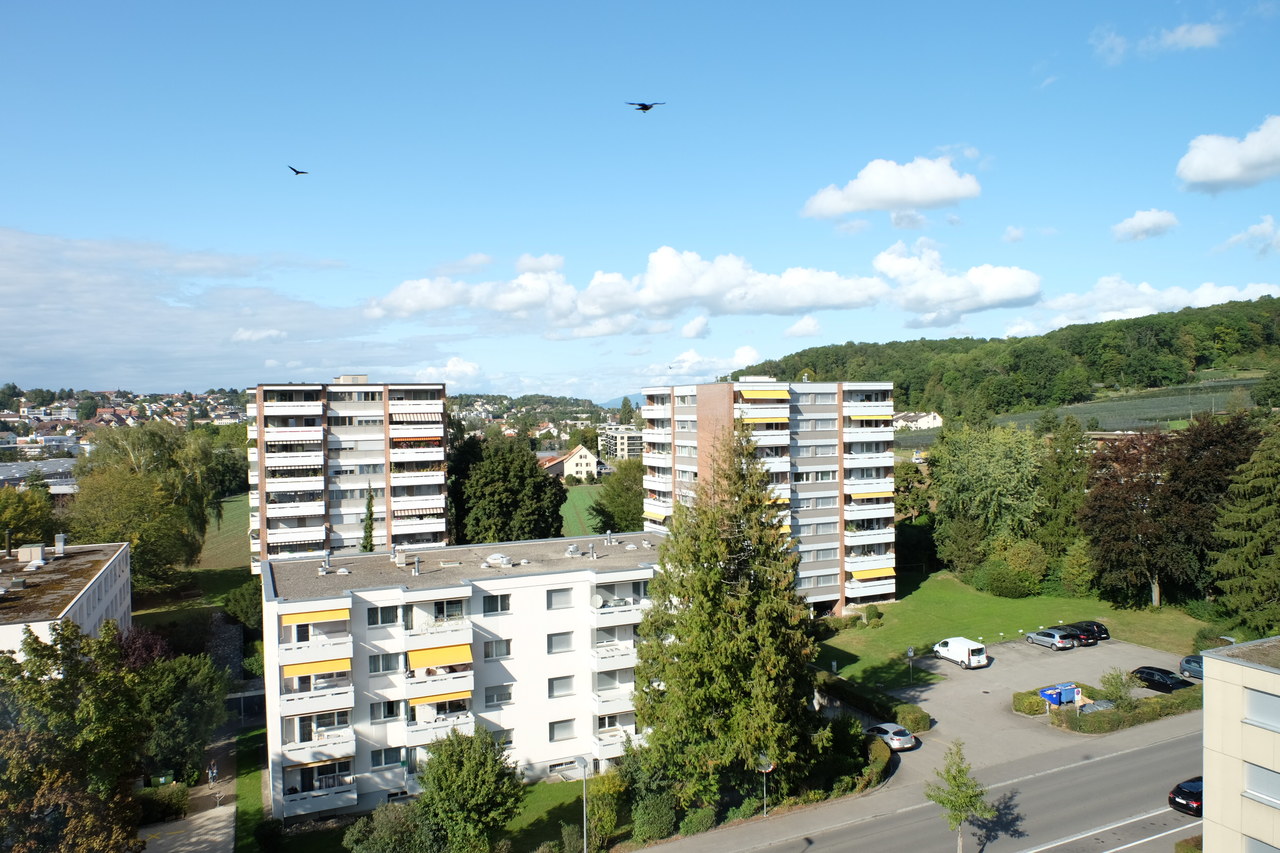 Städtischer Blick über Wohngebäude und Grünflächen