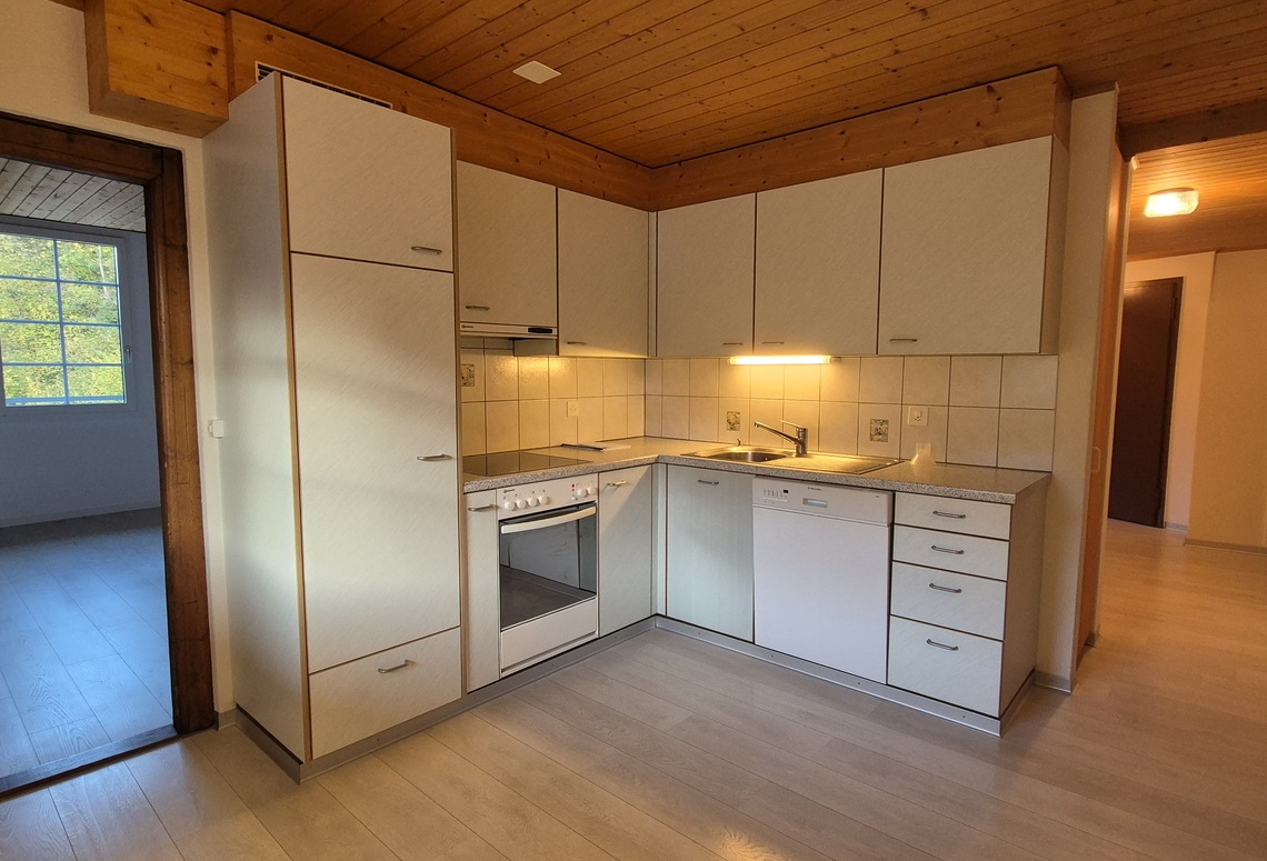 Helle Einbauküche mit Holzdecke
