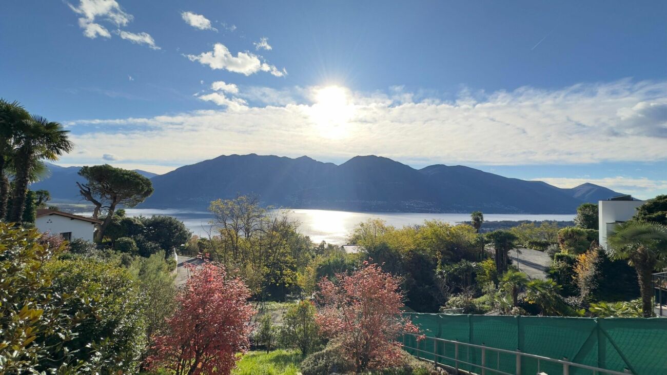 Seeblick mit Bergen und Garten