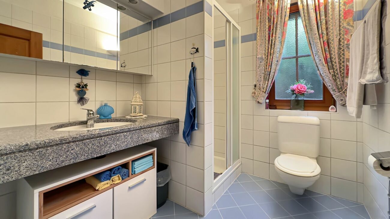 Badezimmer mit Dusche, Waschtisch und WC