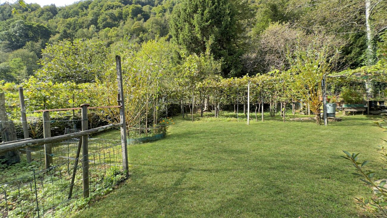 Garten mit Rankgerüst und Wiese