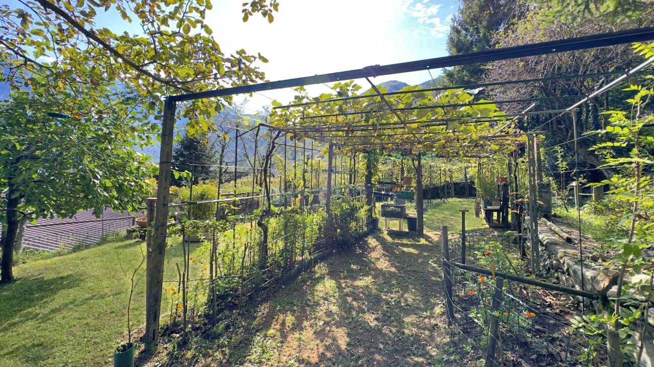 Gemüsegarten mit Pergola