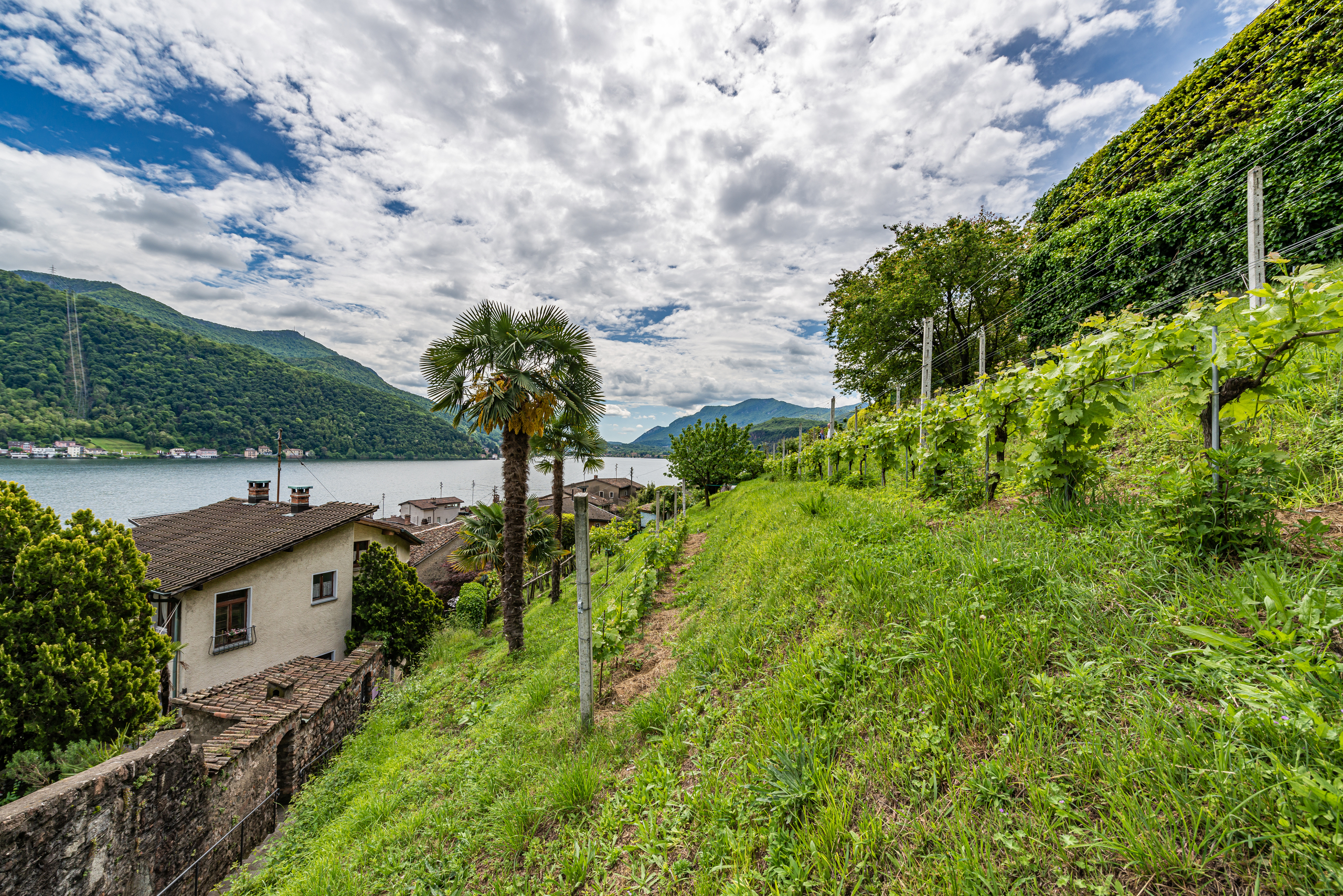 Seeblick mit Hanggrundstück
