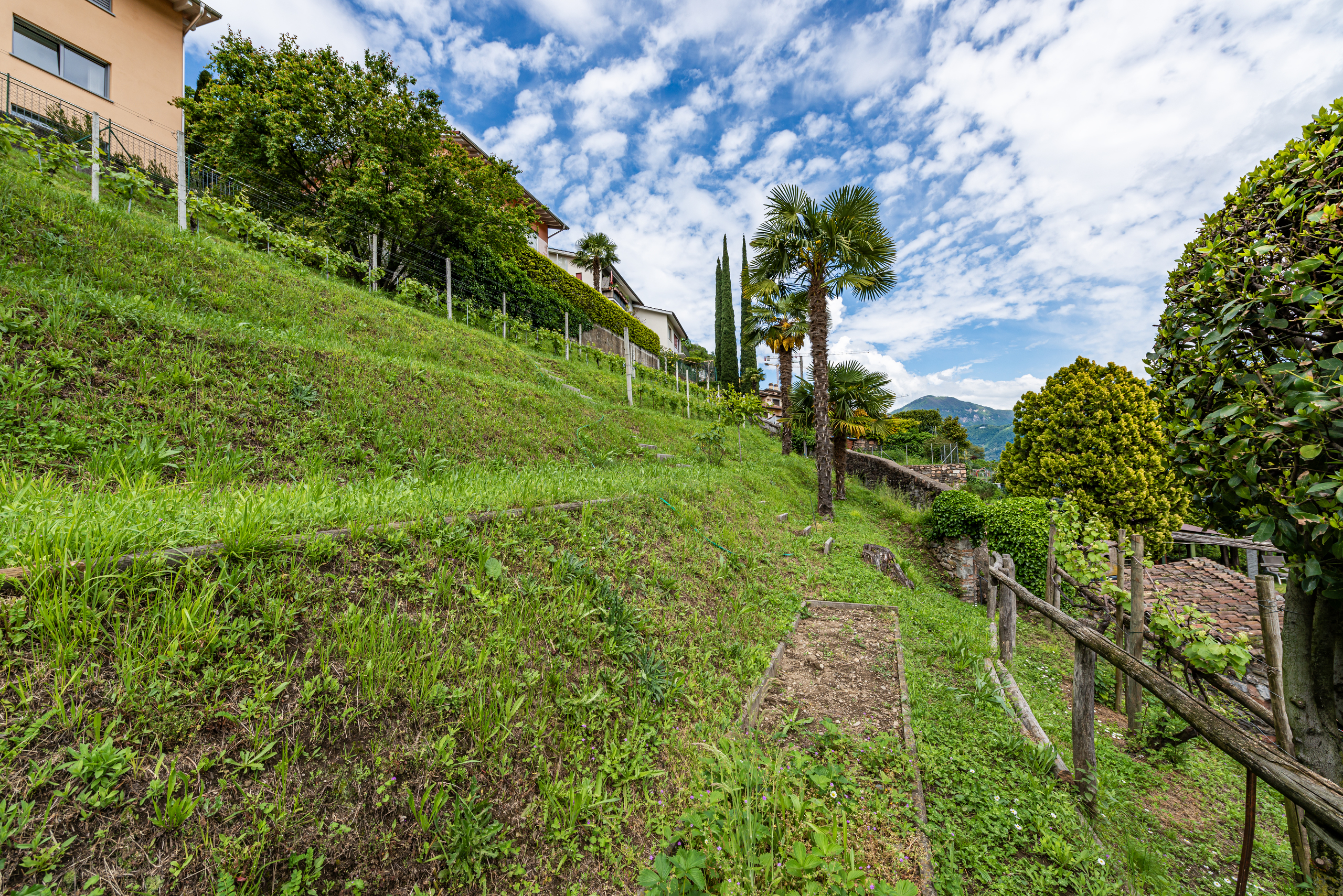 Hanggrundstück mit mediterraner Vegetation
