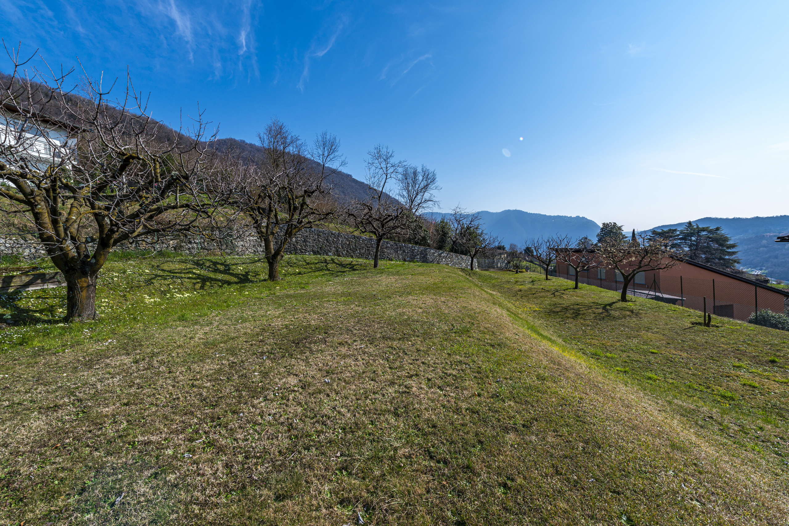 Hügellandschaft mit Obstbäumen und Weitblick