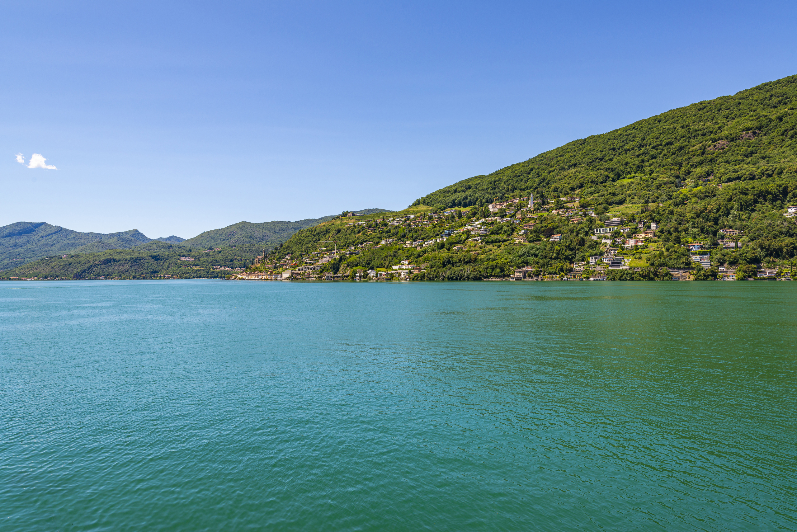Seeblick auf grüne Hänge