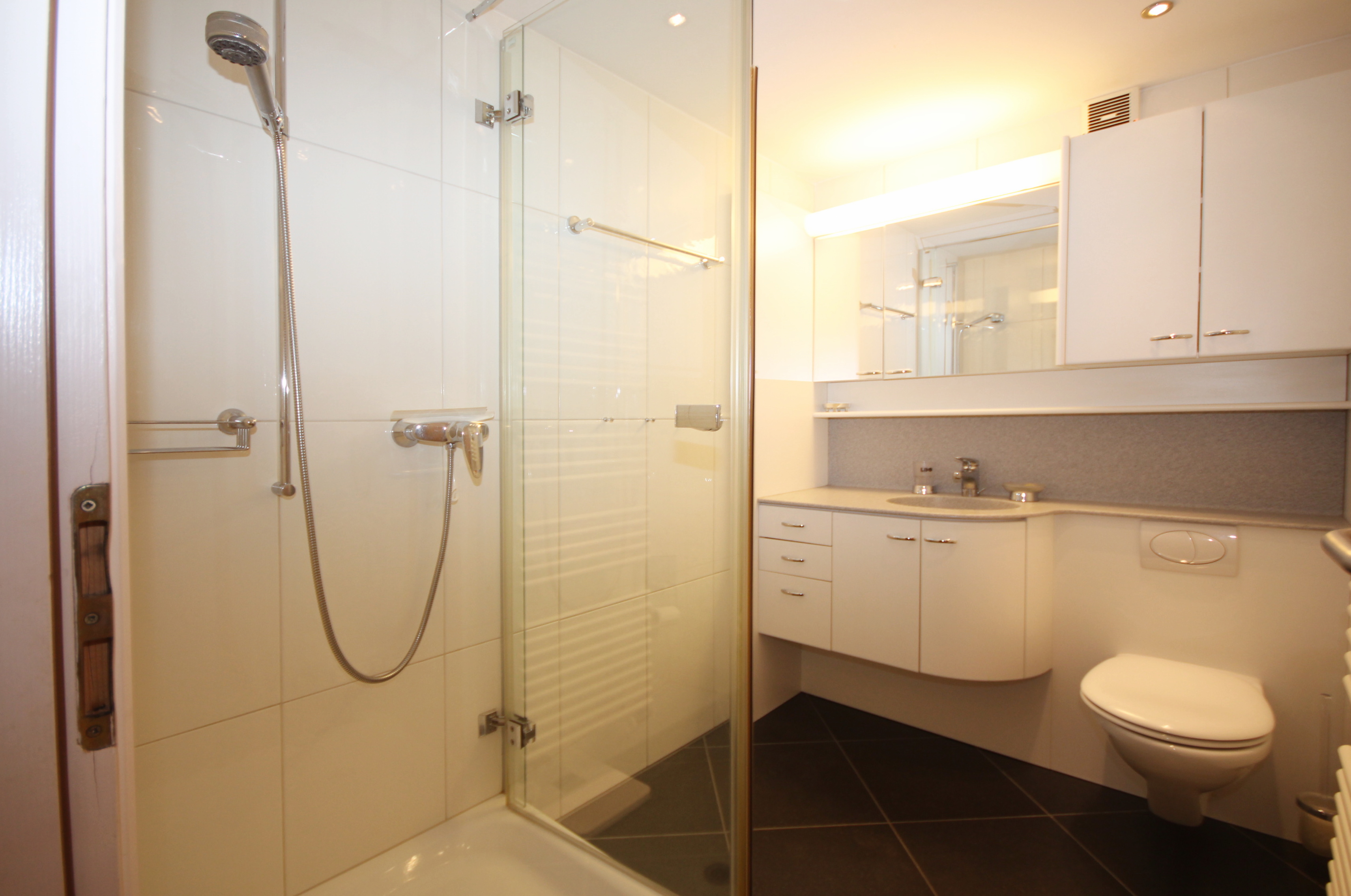 Modernes Badezimmer mit Dusche und Waschtisch