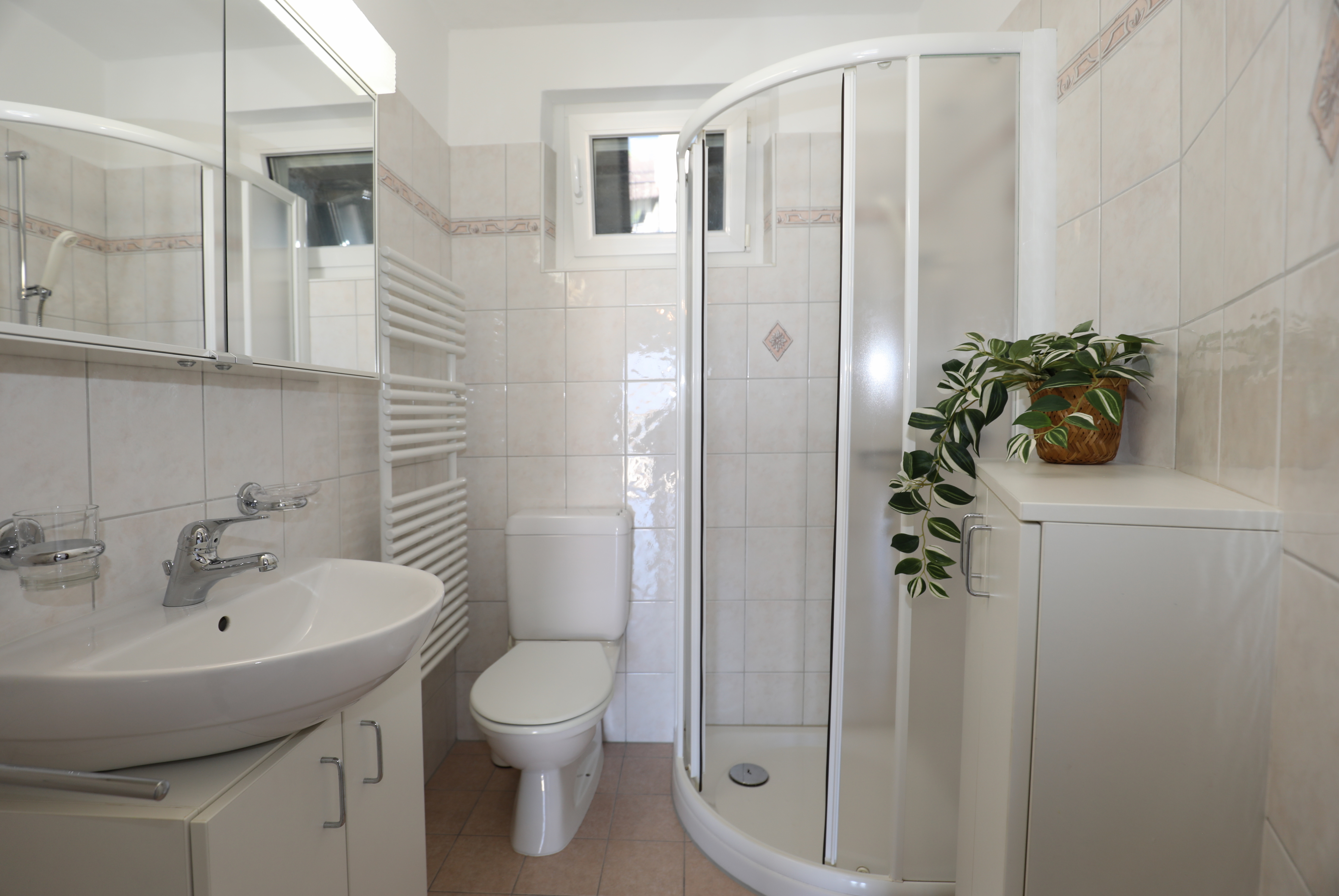 Kleines Badezimmer mit Dusche und WC