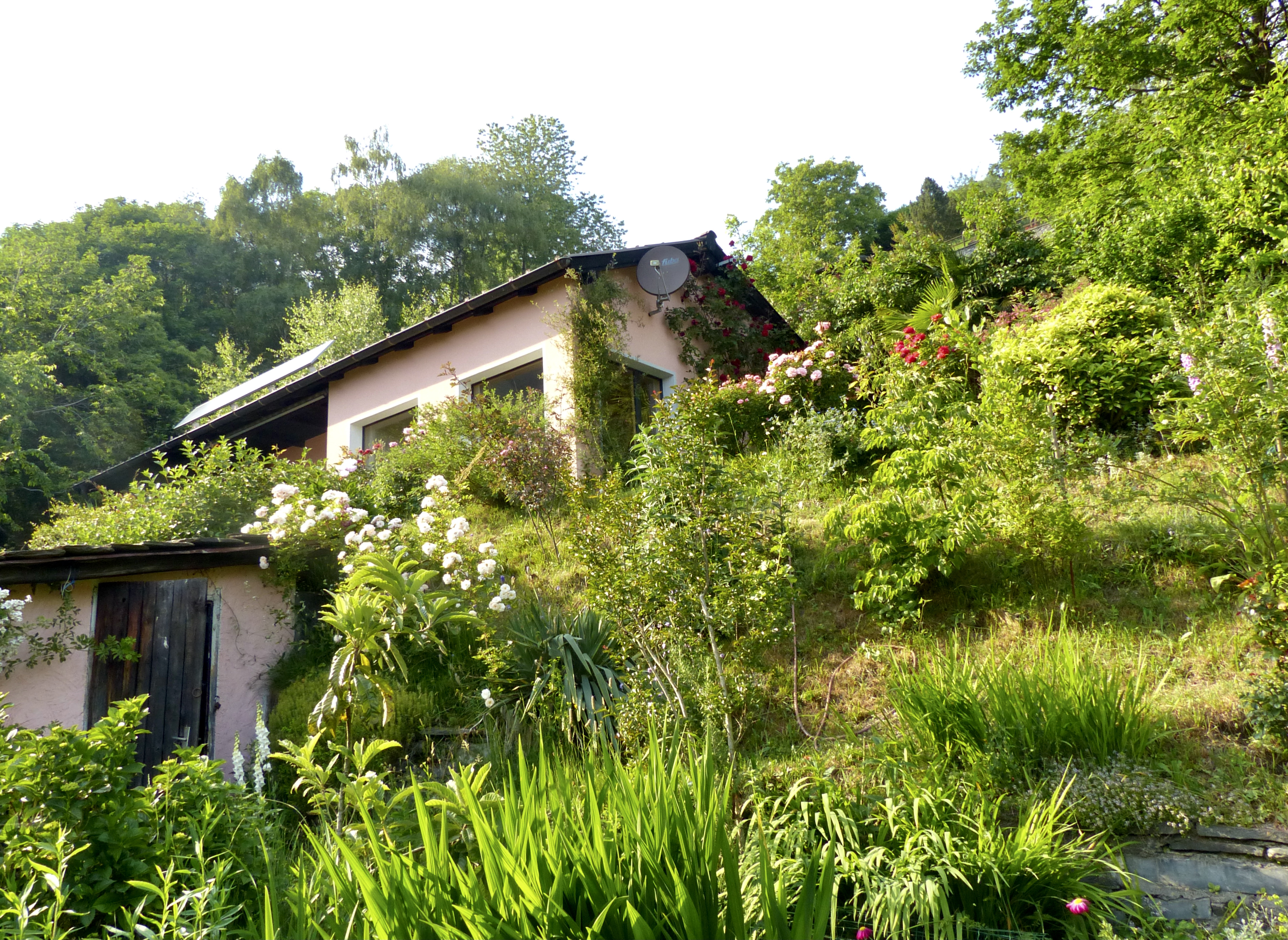 Haus in üppig bepflanzter Hanglage