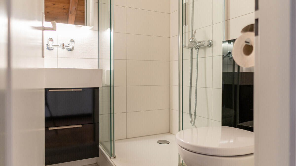 Modernes Duschbad mit WC