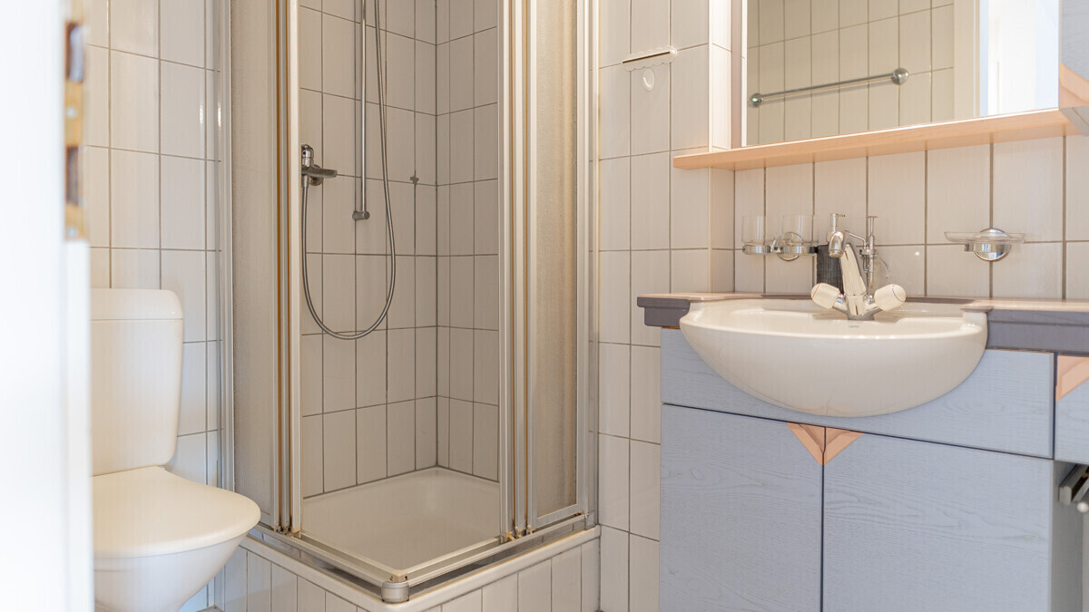 Badezimmer mit Dusche und Waschtisch
