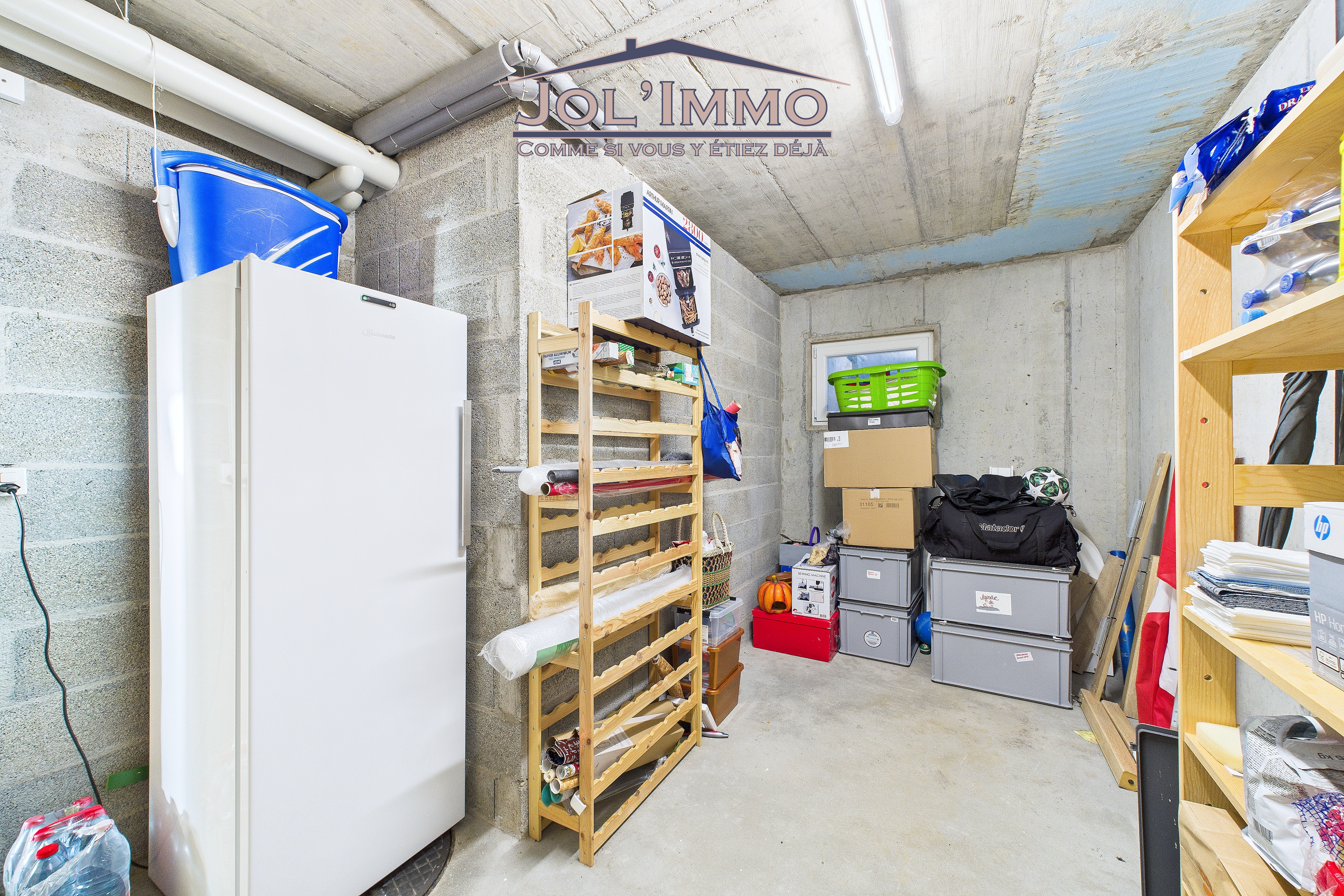 Kellerraum mit Lagerregalen und Kühlschrank